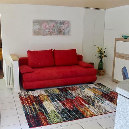 Apartamento Casa Ortensia Gambarogno Exterior foto